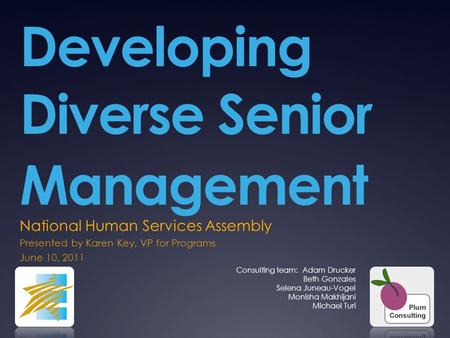 Developing Diverse Senior Management National Human Services Assembly Presented by Karen Key, VP for Programs June 10, 2011 Consulting team: Adam Drucker.