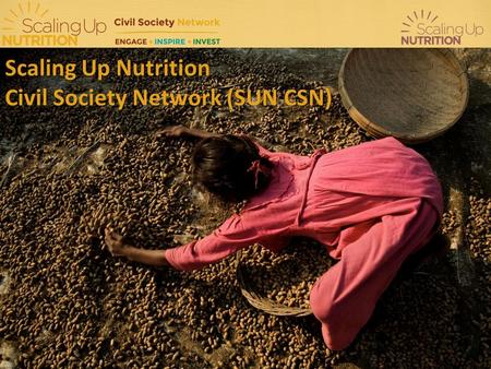 Scaling Up Nutrition  Civil Society Network (SUN CSN)