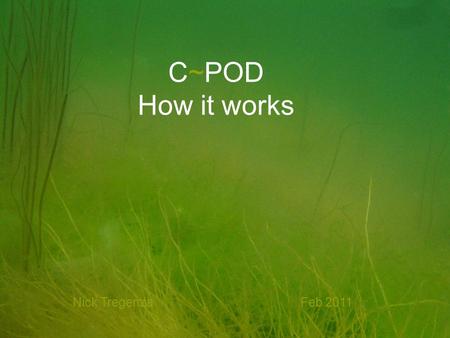 C~POD How it works Nick Tregenza Feb 2011. Clicks made by dolphins are not very distinctive sounds, and even ‘typical’ porpoise clicks can come from something.