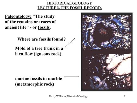 Harry Williams, Historical Geology1 HISTORICAL GEOLOGY LECTURE 3. THE FOSSIL RECORD. Paleontology: The study of the remains or traces of ancient life