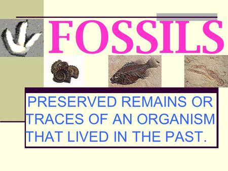 PRESERVED REMAINS OR TRACES OF AN ORGANISM THAT LIVED IN THE PAST.