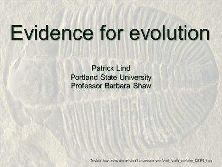 Evidence for evolution Patrick Lind Portland State University Professor Barbara Shaw Trilobite-