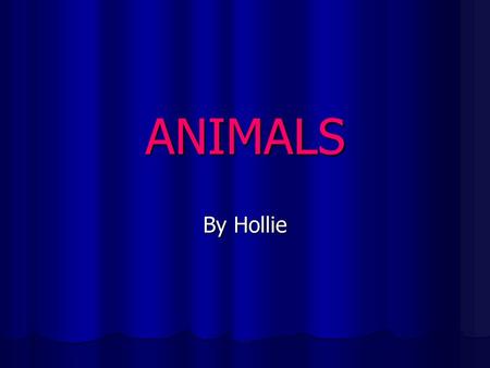 ANIMALS By Hollie. Animals Animals are all around us, whether it’s insects, pets or wild animals, it is a fact that where ever you go there are thousands.