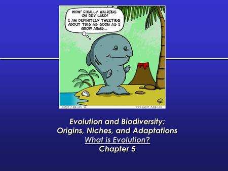 Evolution and Biodiversity: Origins, Niches, and Adaptations