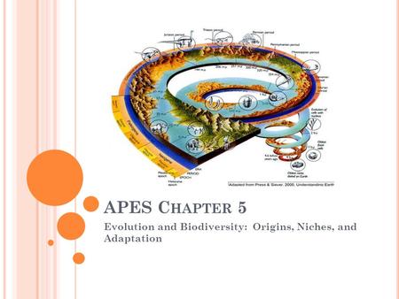APES C HAPTER 5 Evolution and Biodiversity: Origins, Niches, and Adaptation.