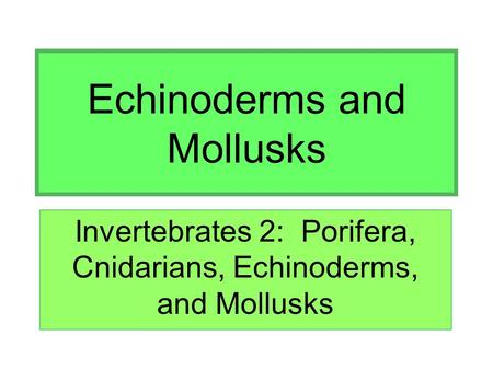 Echinoderms and Mollusks