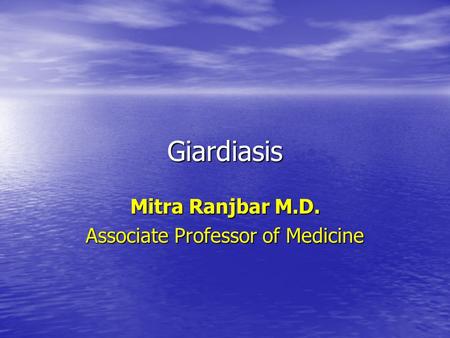 Mitra Ranjbar M.D. Associate Professor of Medicine