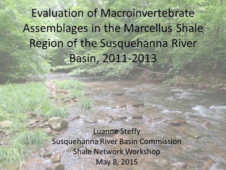 Evaluation of Macroinvertebrate Assemblages in the Marcellus Shale Region of the Susquehanna River Basin, 2011-2013 Luanne Steffy Susquehanna River Basin.