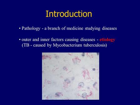 Introduction Pathology - a branch of medicine studying diseases outer and inner factors causing diseases - etiology (TB - caused by Mycobacterium tuberculosis)
