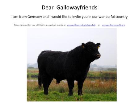 Dear Gallowayfriends I am from Germany and I would like to invite you in our wonderful country More information you will find in a couple of month at www.galloway-deutschland.de.