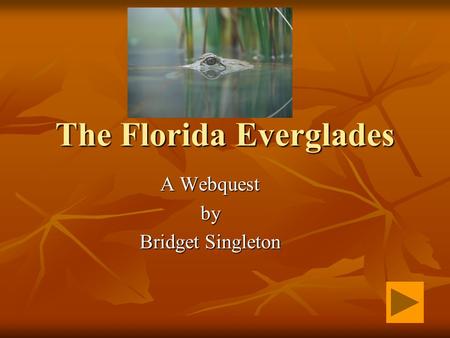 The Florida Everglades A Webquest by Bridget Singleton.