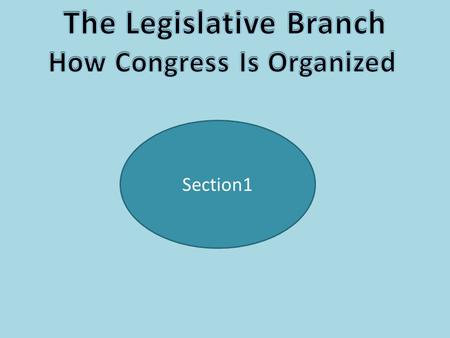 Section1. A Bicameral Legislature The Framers wanted to establish a Congressional voting body, but one of the concerns at the Constitutional Convention.