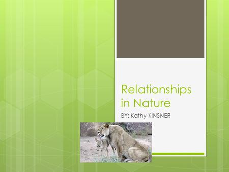 Relationships in Nature BY: Kathy KINSNER. Introduction  Animals depend upon each other in many ways to survive.  What you read might surprise you.