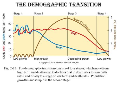 The Demographic Transition