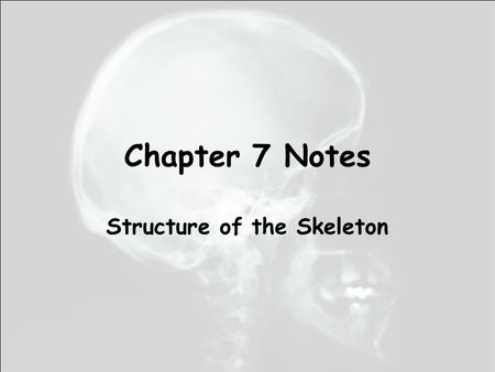 Chapter 7 Notes Structure of the Skeleton. Skeletal tissue forms bones. Bones are organized or grouped to form major subdivisions. Coordination of bones.