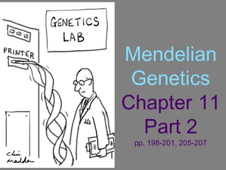 Mendelian Genetics Chapter 11 Part 2 pp. 198-201, 205-207.