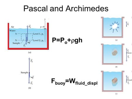 Pascal and Archimedes P=P o +  gh F buoy =W fluid_displ.