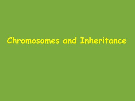 Chromosomes and Inheritance. Autosomes vs. sex chromosomes Autosomes = the pairs of chromosomes that are the same in males and females In humans, these.