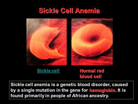 Hemoglobin. Sickle cell anemia is a genetic blood disorder, caused by a single mutation in the gene for hemoglobin. It is found primarily in people of.