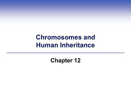 Chromosomes and Human Inheritance Chapter 12. Impacts, Issues: Strange Genes, Tortured Minds  Exceptional creativity often accompanies neurobiological.