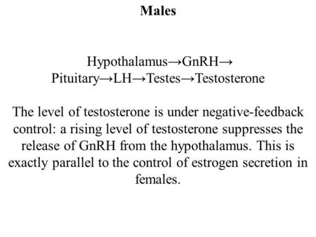 Hypothalamus→GnRH→ Pituitary→LH→Testes→Testosterone