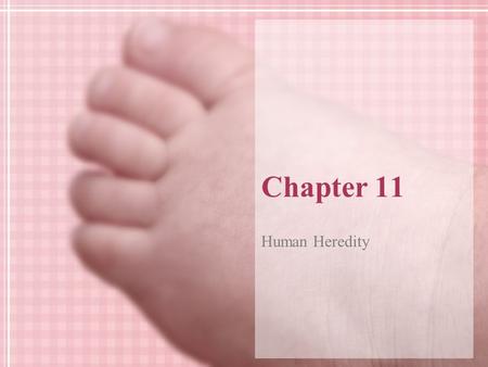 Chapter 11 Human Heredity.