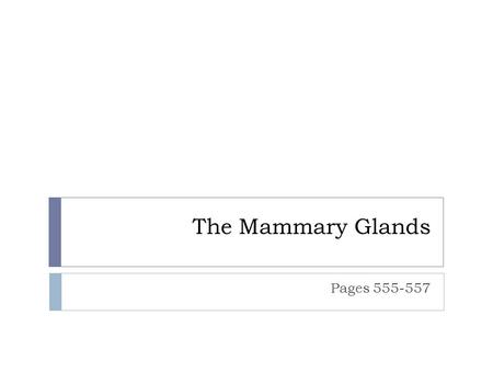 The Mammary Glands Pages 555-557. Mammary Glands © 2015 Pearson Education, Inc.  Modifies sweat glands  Present in both sexes; functional only in females.