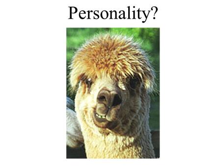 Personality?. Personality influences how we respond to the environment.