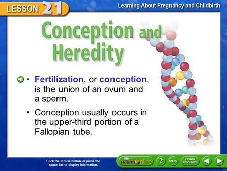 Click the mouse button or press the space bar to display information. Conception and Heredity Fertilization, or conception, is the union of an ovum and.
