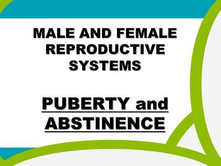 MALE AND FEMALE REPRODUCTIVE SYSTEMS PUBERTY and ABSTINENCE