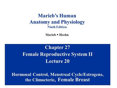 Anatomy and Physiology Female Reproductive System II
