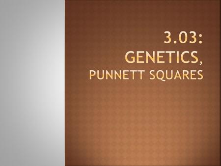 3.03: Genetics, Punnett squares