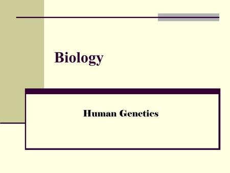 Biology Human Genetics. Info within the Nucleus Genome: complete set of genetic info in an organism (or group of organisms). DNA wraps around proteins.