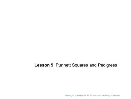 Unit 6 Lesson 5 Punnett Squares and Pedigrees