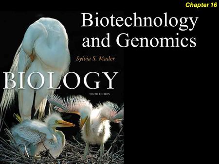 Biotechnology and Genomics Chapter 16. Biotechnology and Genomics 2Outline DNA Cloning  Recombinant DNA Technology ­Restriction Enzyme ­DNA Ligase 
