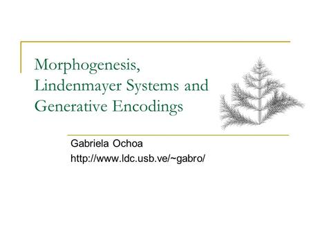 Morphogenesis, Lindenmayer Systems and Generative Encodings Gabriela Ochoa