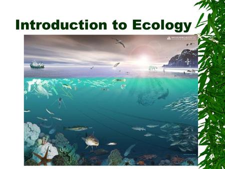 Introduction to Ecology. Ecology Ecology is …… The study of interactions between living (biotic) and non-living (abiotic) components in ecosystems.