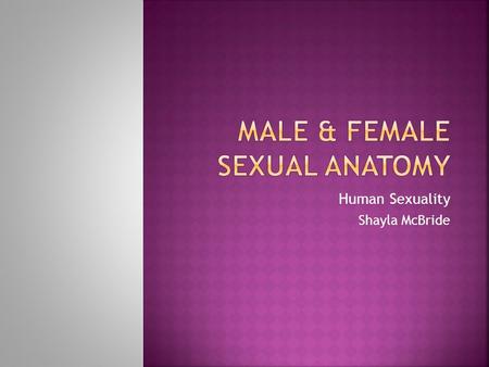 Male & female Sexual anatomy