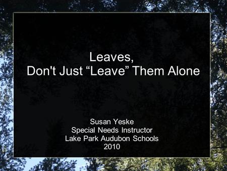 Leaves, Don't Just “Leave” Them Alone Susan Yeske Special Needs Instructor Lake Park Audubon Schools 2010.