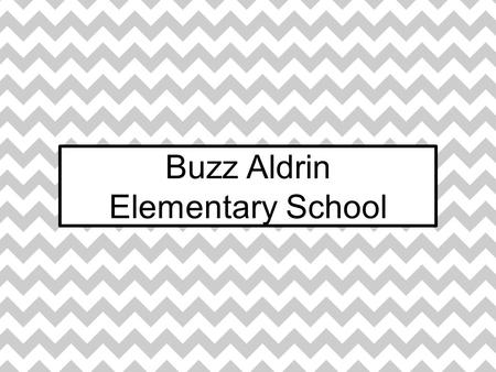 Buzz Aldrin Elementary School. Ethnic Background at Aldrin.