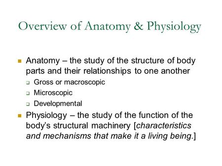 Overview of Anatomy & Physiology