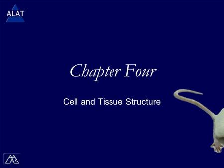 Chapter Four Cell and Tissue Structure.  If viewing this in PowerPoint, use the icon to run the show (bottom left of screen).  Mac users go to “Slide.