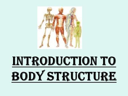 INTRODUCTION TO BODY STRUCTURE. BELL RINGER ACTIVITY: WHAT DO YOU THINK CAUSES A BLACK EYE. THEN READ THE REAL LIFE FEATURE IN THIS SECTION AND COMPARE.