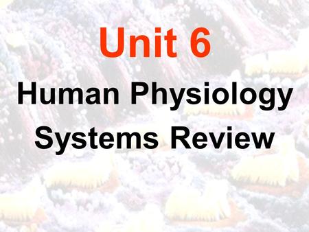 Unit 6 Human Physiology Systems Review. CALIFORNIA CONTENT STANDARDS: Physiology BI9. As a result of the coordinated structures and functions of organ.