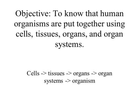 Objective: To know that human organisms are put together using cells, tissues, organs, and organ systems. Cells -> tissues -> organs -> organ systems ->