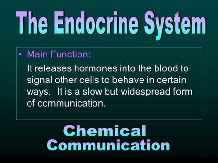 Main Function: It releases hormones into the blood to signal other cells to behave in certain ways. It is a slow but widespread form of communication.