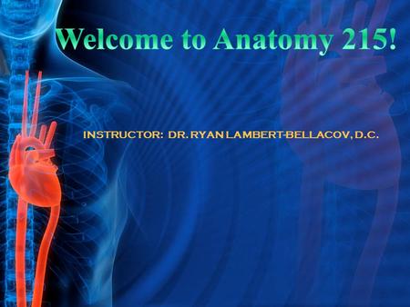 INSTRUCTOR: DR. RYAN LAMBERT-BELLACOV, D.C.. Overview of the course  Syllabus.