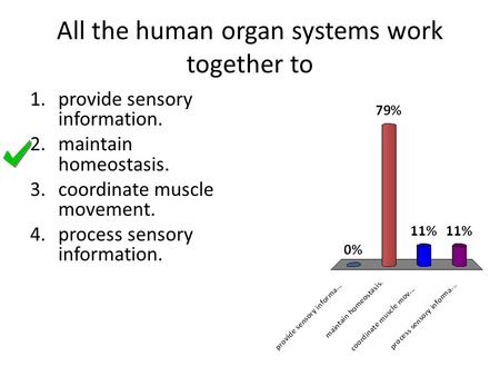 All the human organ systems work together to 1.provide sensory information. 2.maintain homeostasis. 3.coordinate muscle movement. 4.process sensory information.