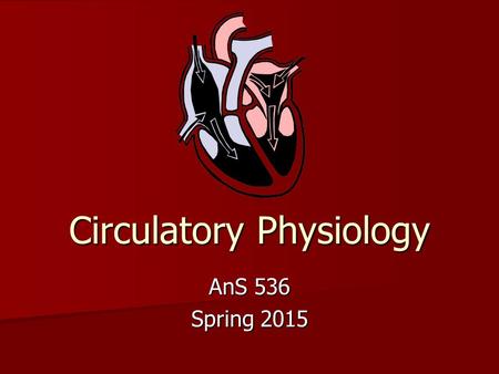 Circulatory Physiology AnS 536 Spring 2015. Development of the Circulatory System 1st functional organ system – heart is functional when embryo is 2 mm.