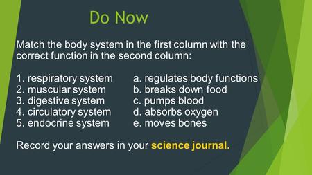 Do Now Match the body system in the first column with the correct function in the second column: 1. respiratory system 	a. regulates body functions 2.